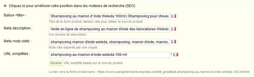 Fiche Produit - Partie SEO