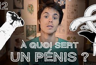 Capture d'écran d'une vidéo de Léo Grasset, créateur de la chaîne Youtube Dirty Biology.