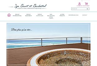 Page d'accueil du site internet de Spa Resort et Résidentiel.